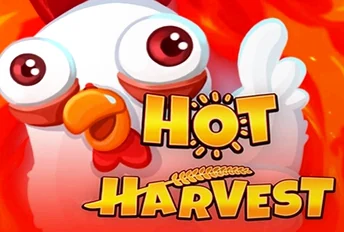 Hot Harvest