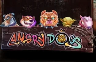 Angry Dogs